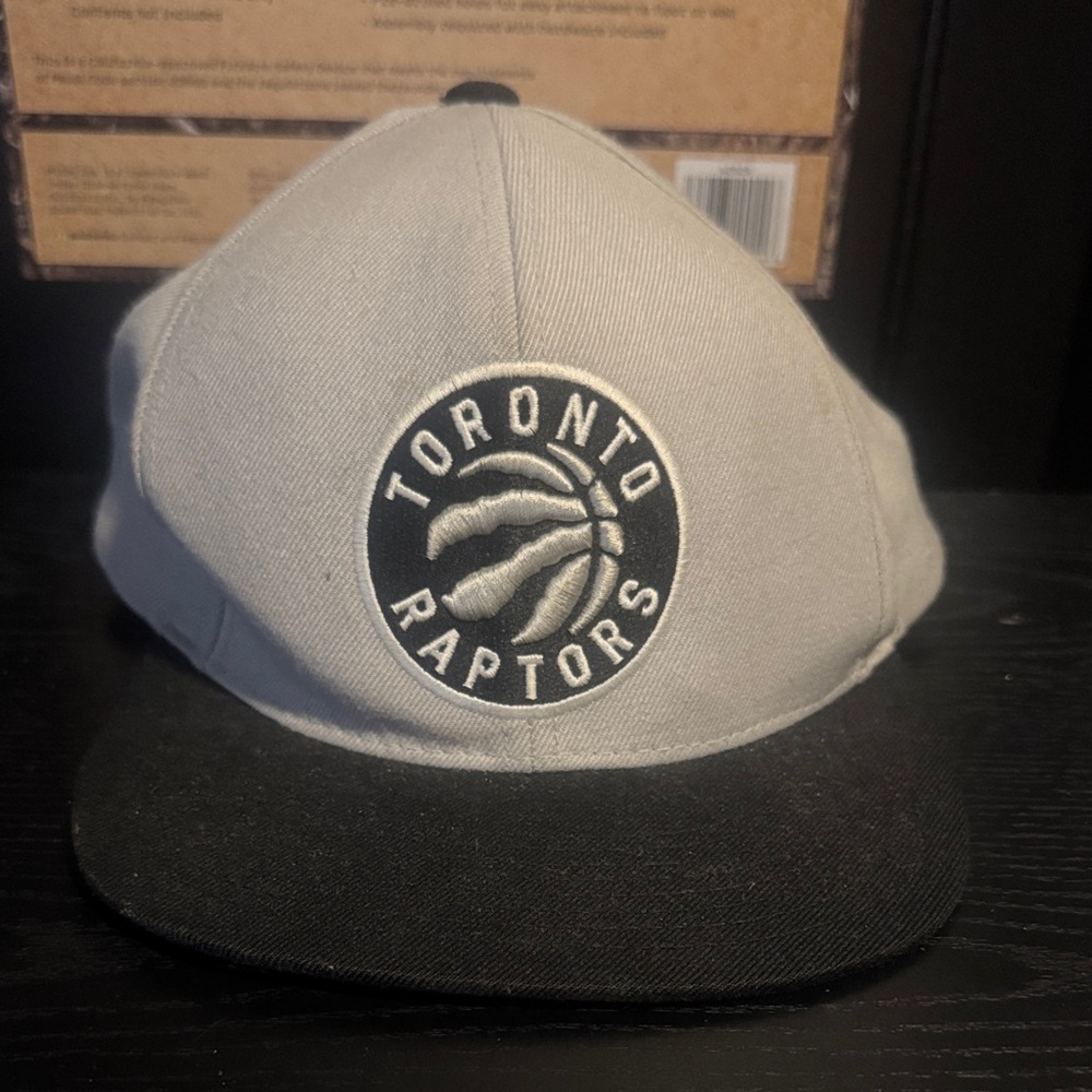 Mitchell & Ness Toronto Raptors Gray Black Hat